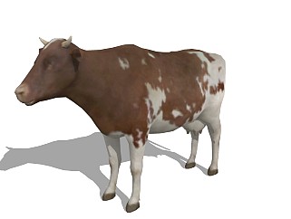 精品动物模型(20)牛
